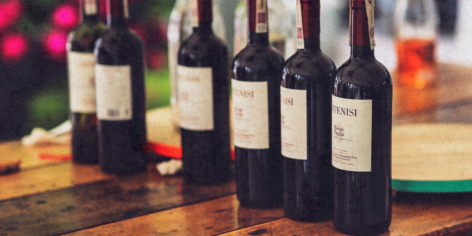 Vino – Selección Gourmet