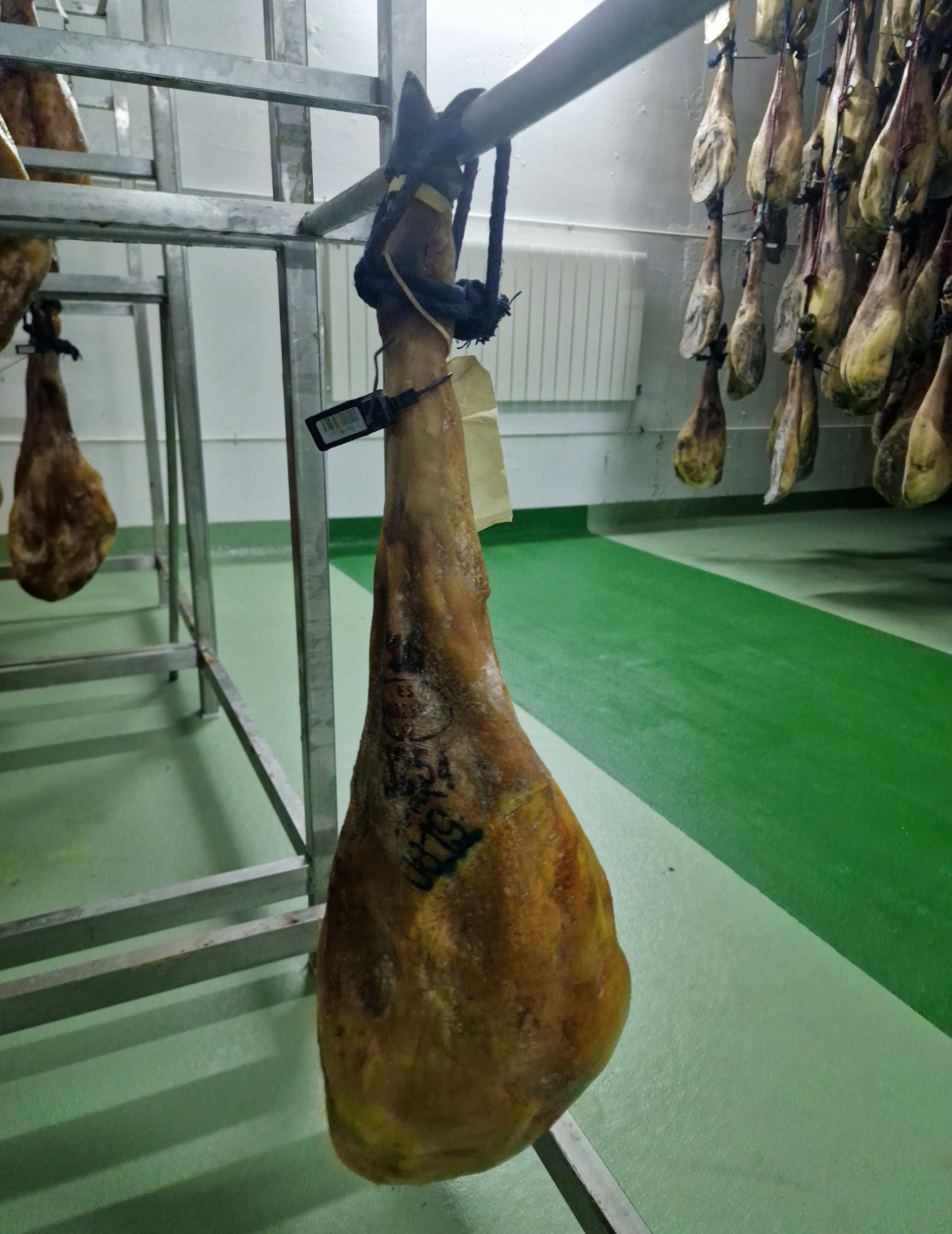 Jamón de Bellota 100% Ibérico | Selección TOP 5 | 2 Montaneras+