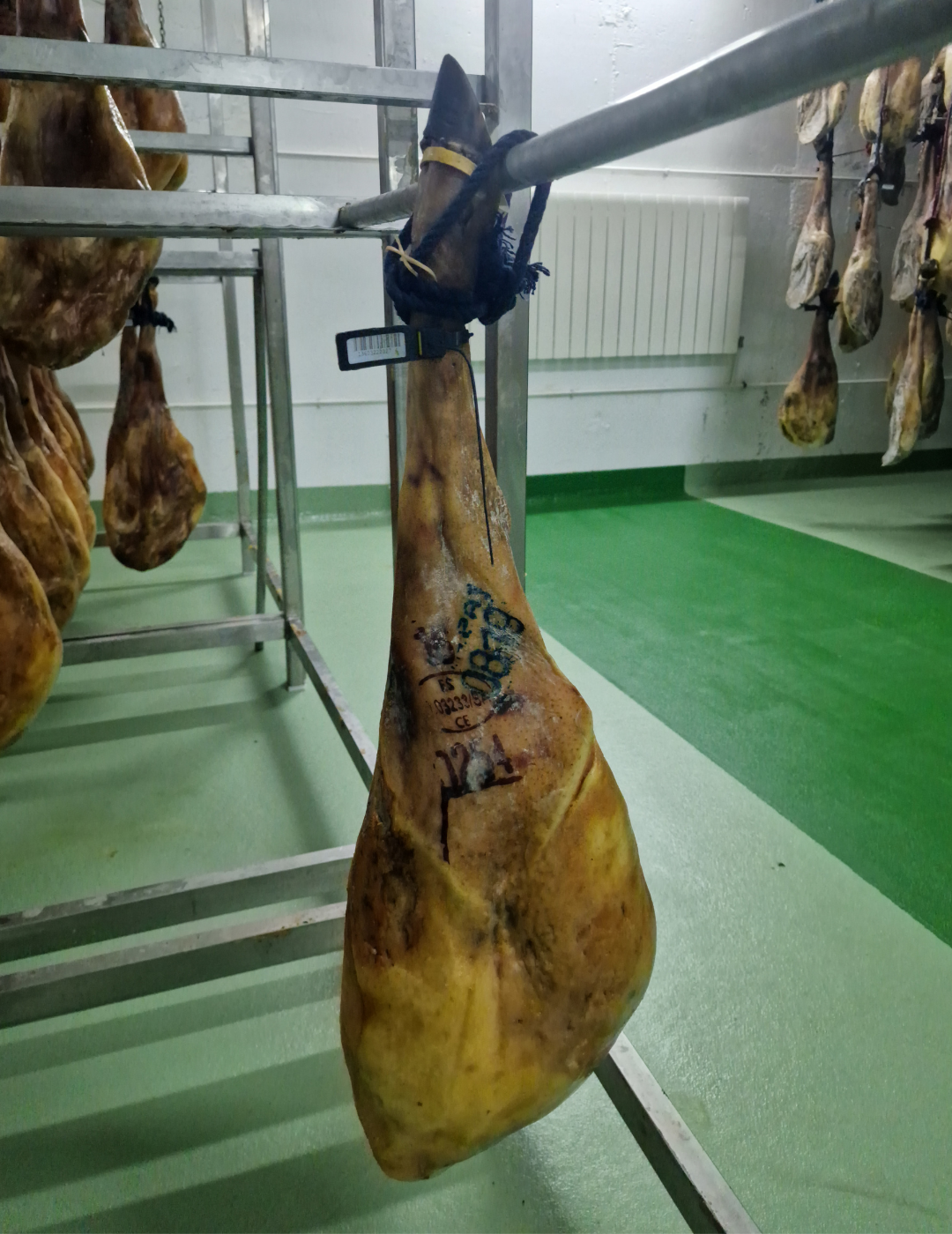 Jamón de Bellota 100% Ibérico | Selección TOP 5 | 2 Montaneras+
