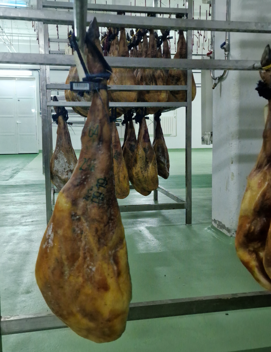 Jamón de Bellota 100% Ibérico | Selección TOP 5 | 2 Montaneras+