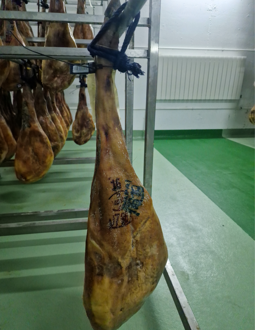 Jamón de Bellota 100% Ibérico | Selección TOP 5 | 2 Montaneras+